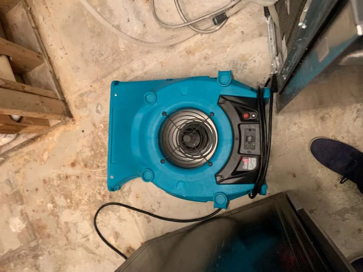 Air mover drying equipment for Mold Remediation & Removal in Oak Grove